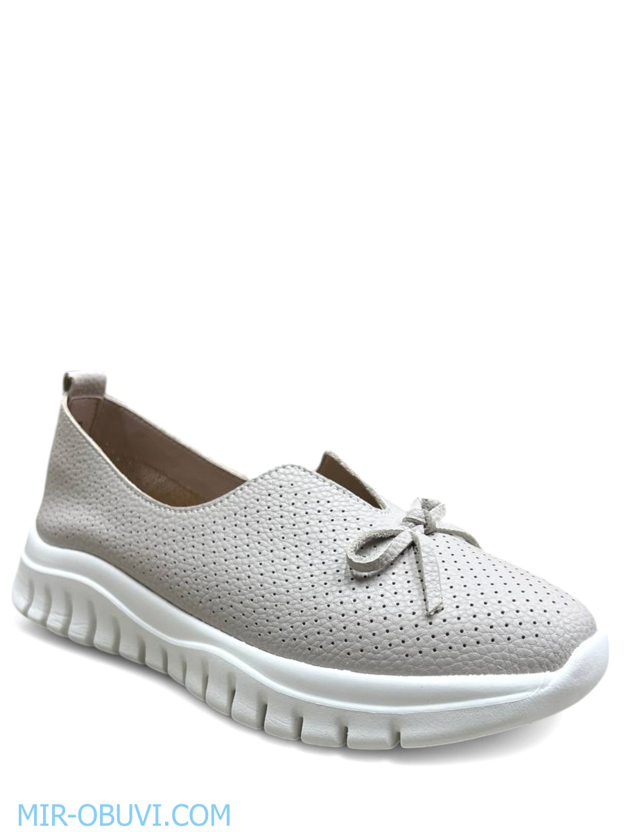 Ƴ���� ������� ������ Wollen. ��� 1.