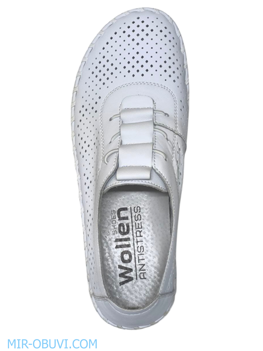 Ƴ���� ������� �������� Wollen. ��� 6.