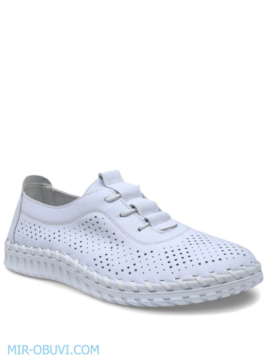 Ƴ���� ������� �������� Wollen. ��� 1.