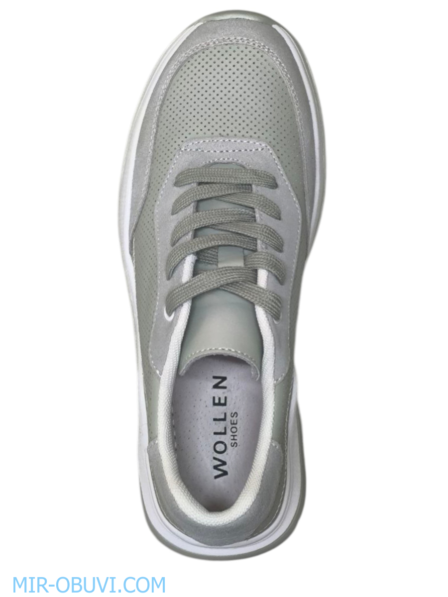 Ƴ���� ������� ������� Wollen. ��� 6.