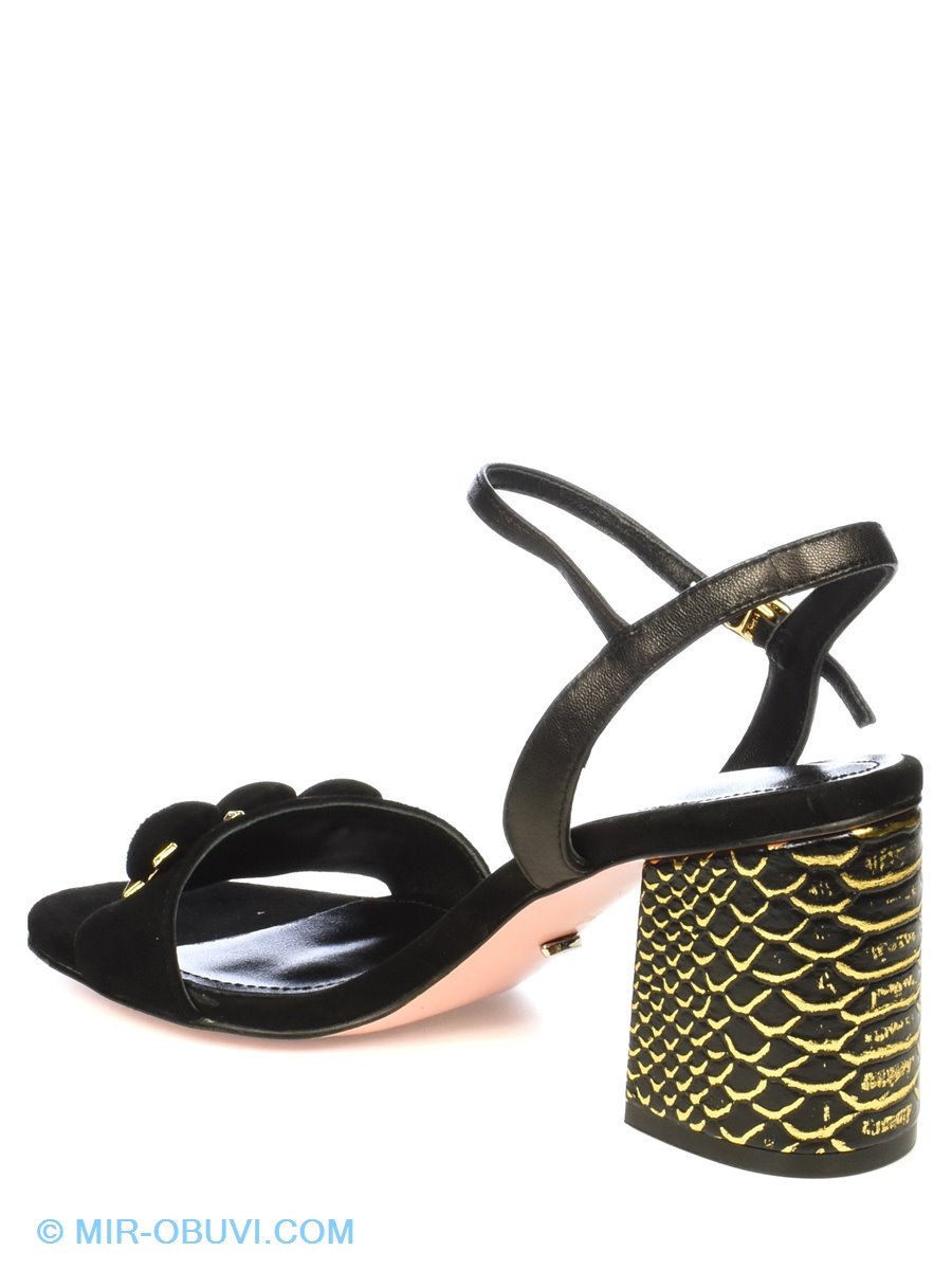 Ƴ���� ���� �������� ��������� Vitto Rossi. ��� 11.