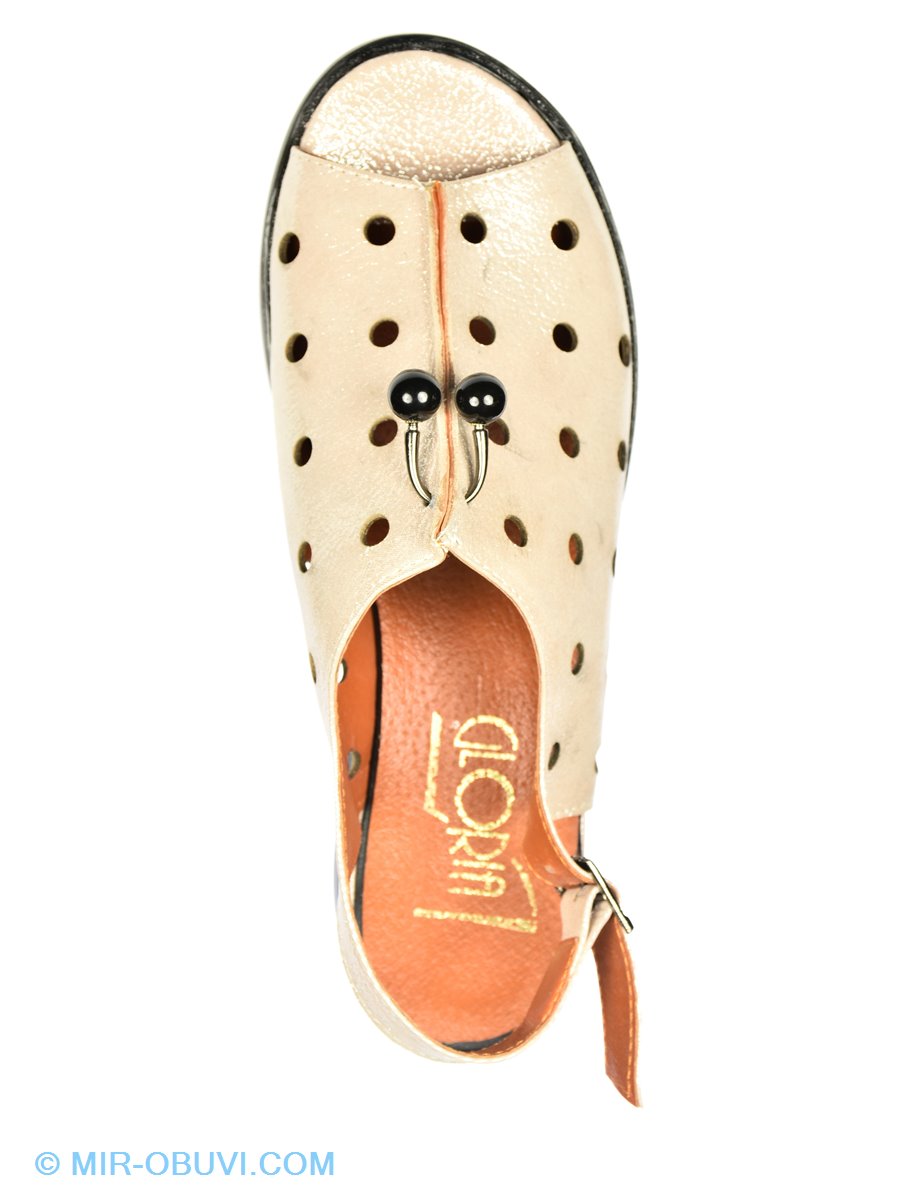 Ƴ���� ���� ��������� Gloria. ��� 6.