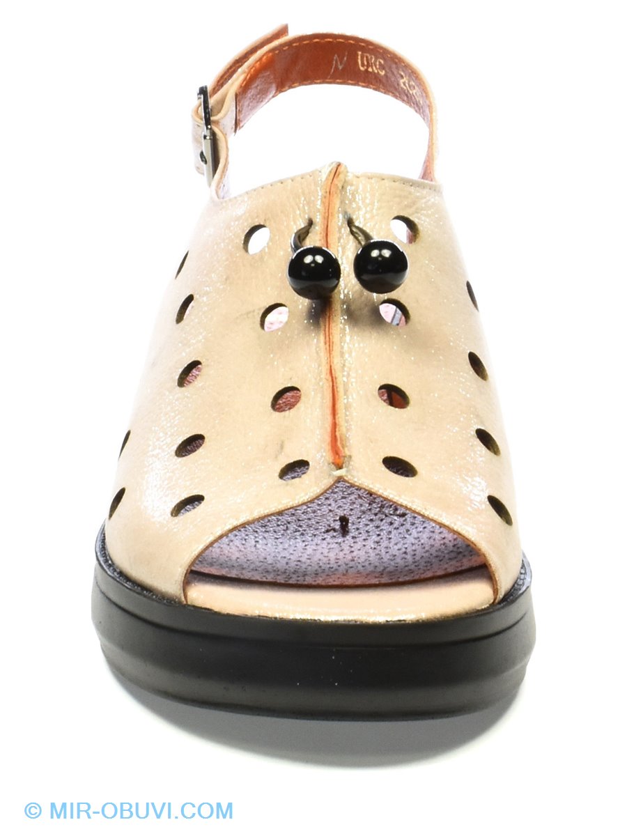 Ƴ���� ���� ��������� Gloria. ��� 9.