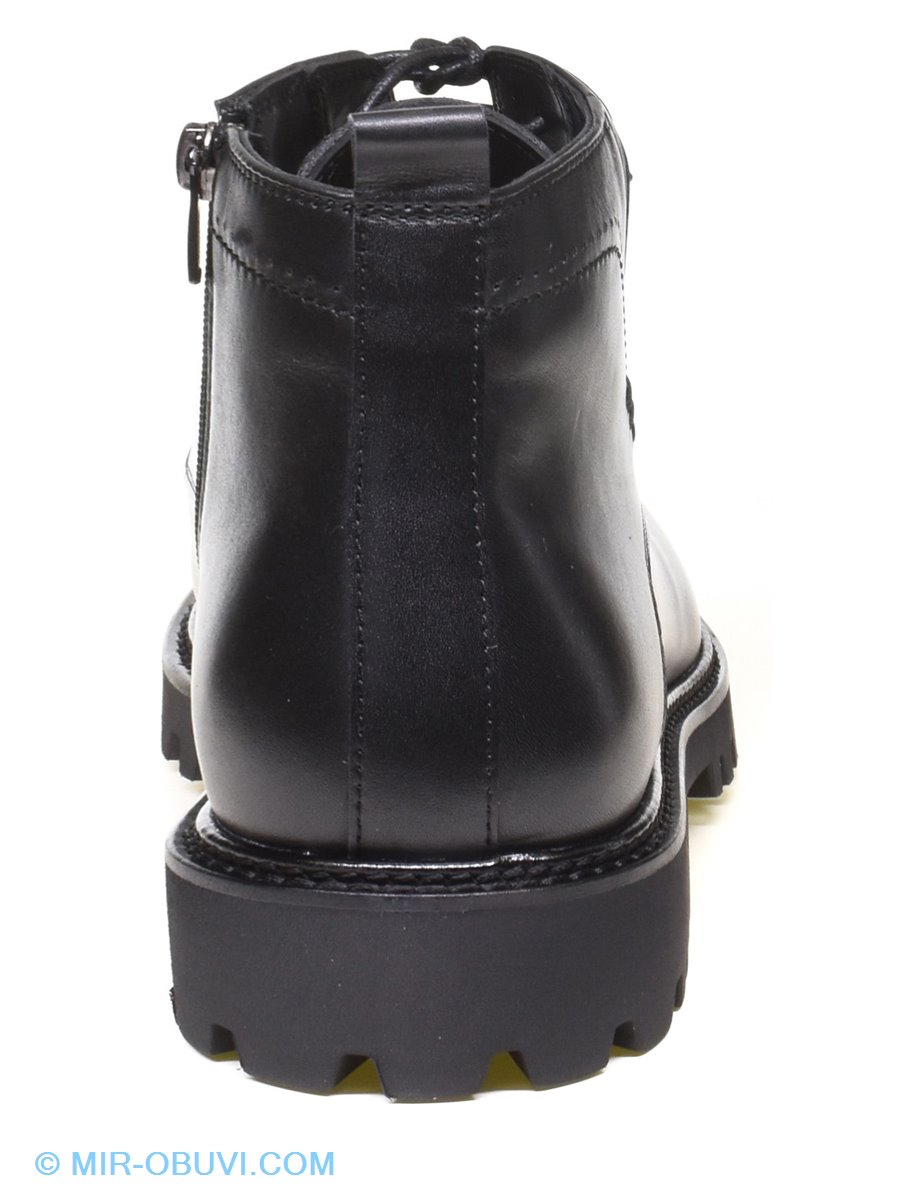 ������� ����� ����������� �������� Stepter. ��� 10.