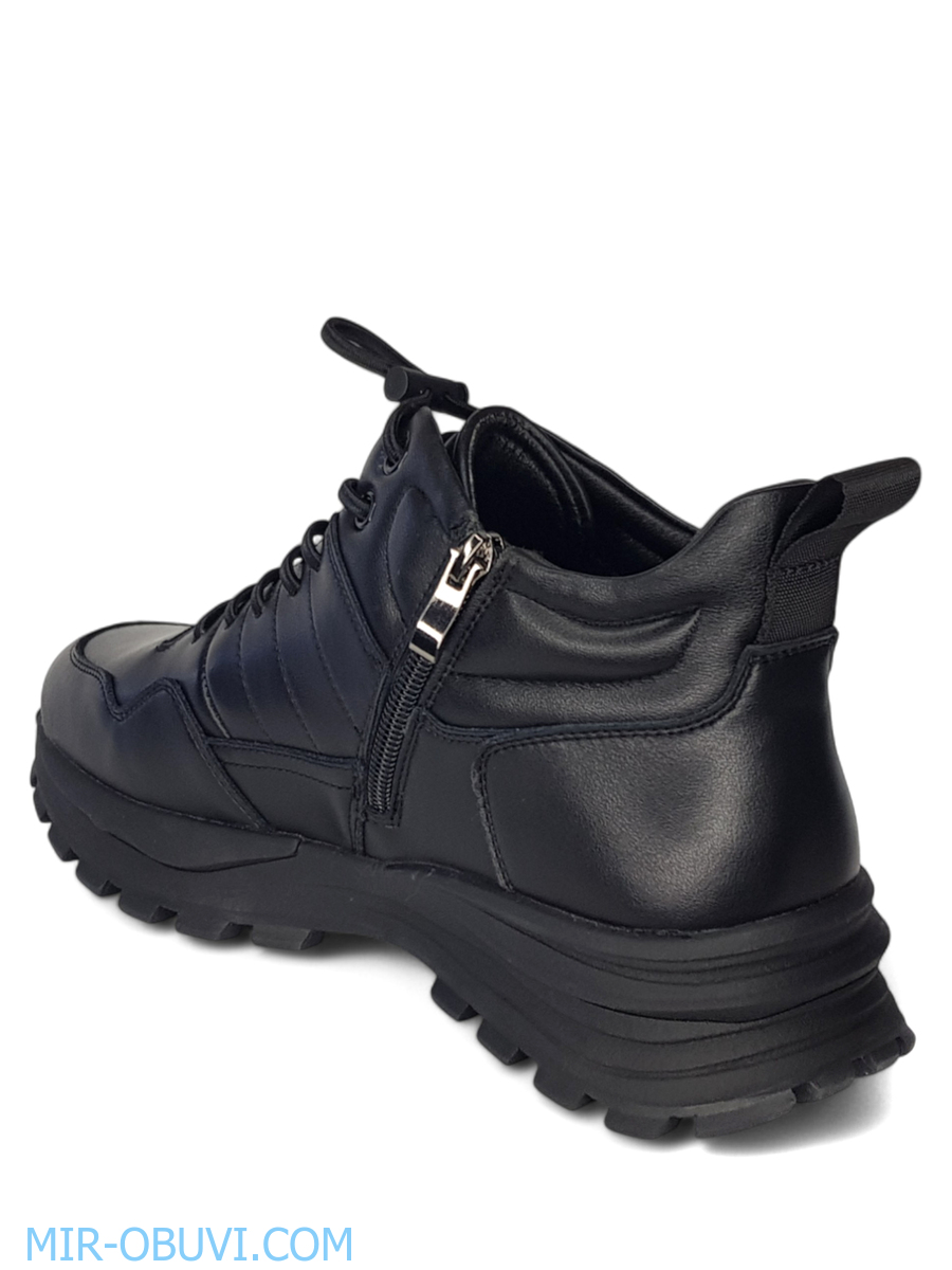 ������� ����� ������� Wollen. ��� 11.