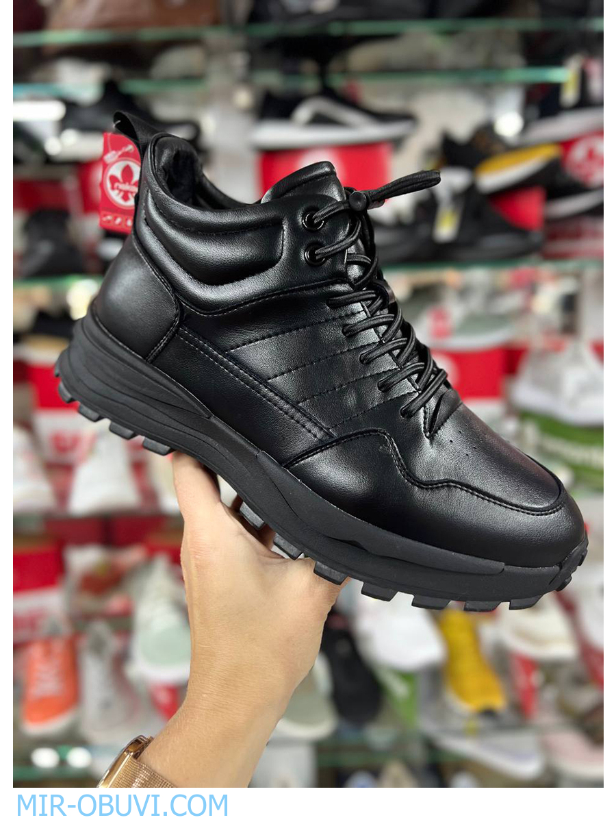 ������� ����� ������� Wollen. ��� 19.