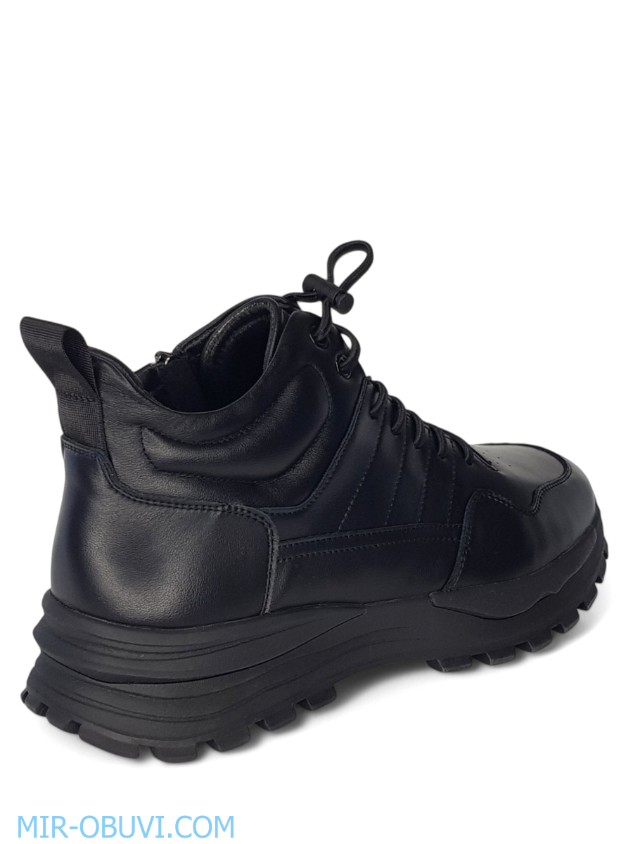 ������� ����� ������� Wollen. ��� 2.