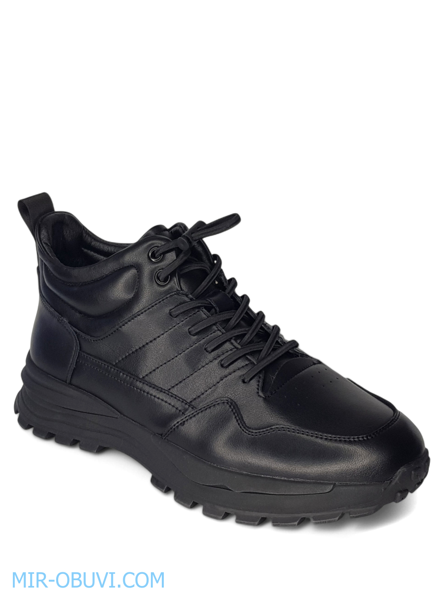 ������� ����� ������� Wollen. ��� 1.