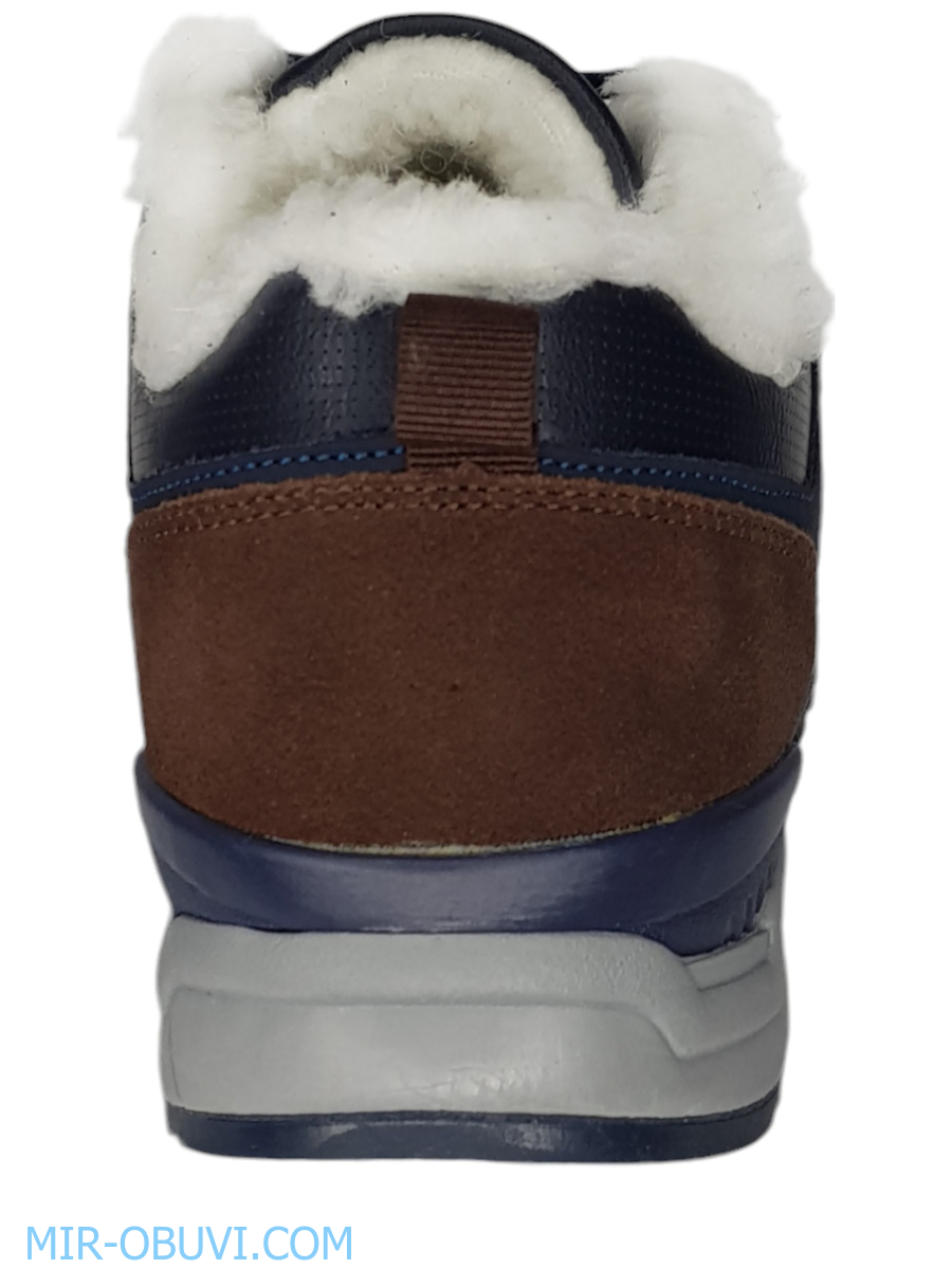 ������� ����� ������� Wollen. ��� 10.