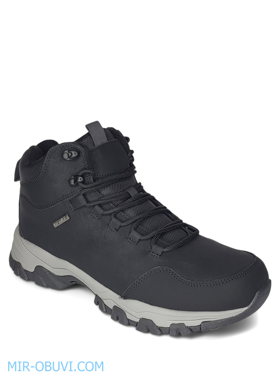 ������� ����� ��������� �������� Wollen. ��� 1.