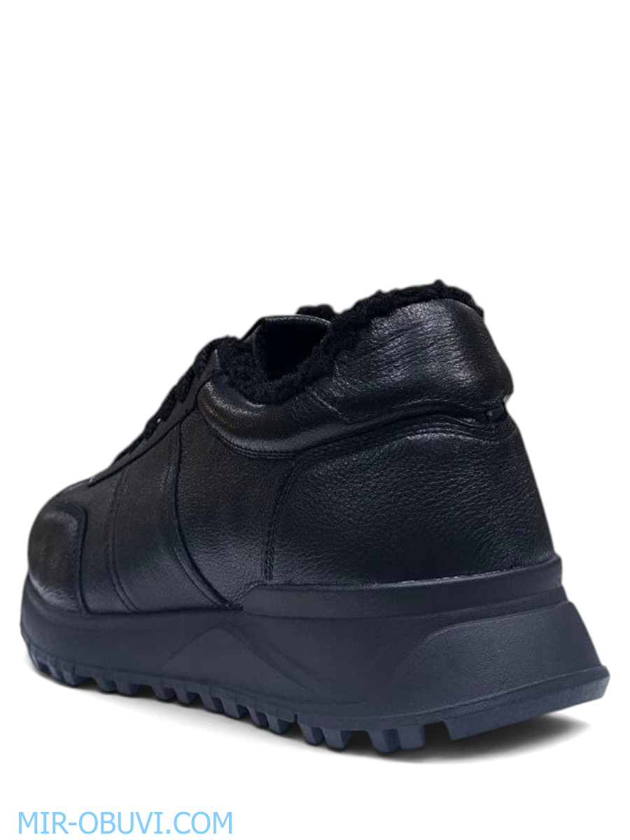 ������� ����� ������� Wollen. ��� 10.