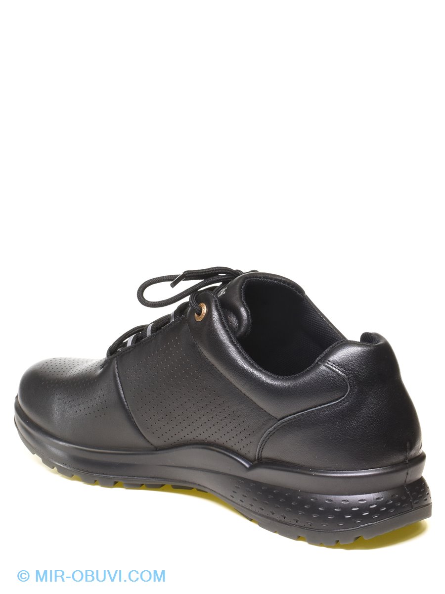 ������� ���������� ������� Baden. ��� 11.