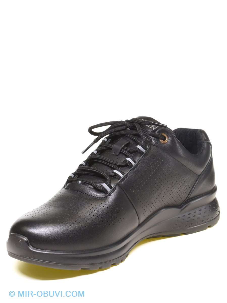 ������� ���������� ������� Baden. ��� 3.