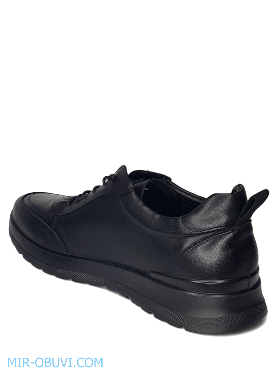 ������� ���������� ������� Wollen. ��� 11.