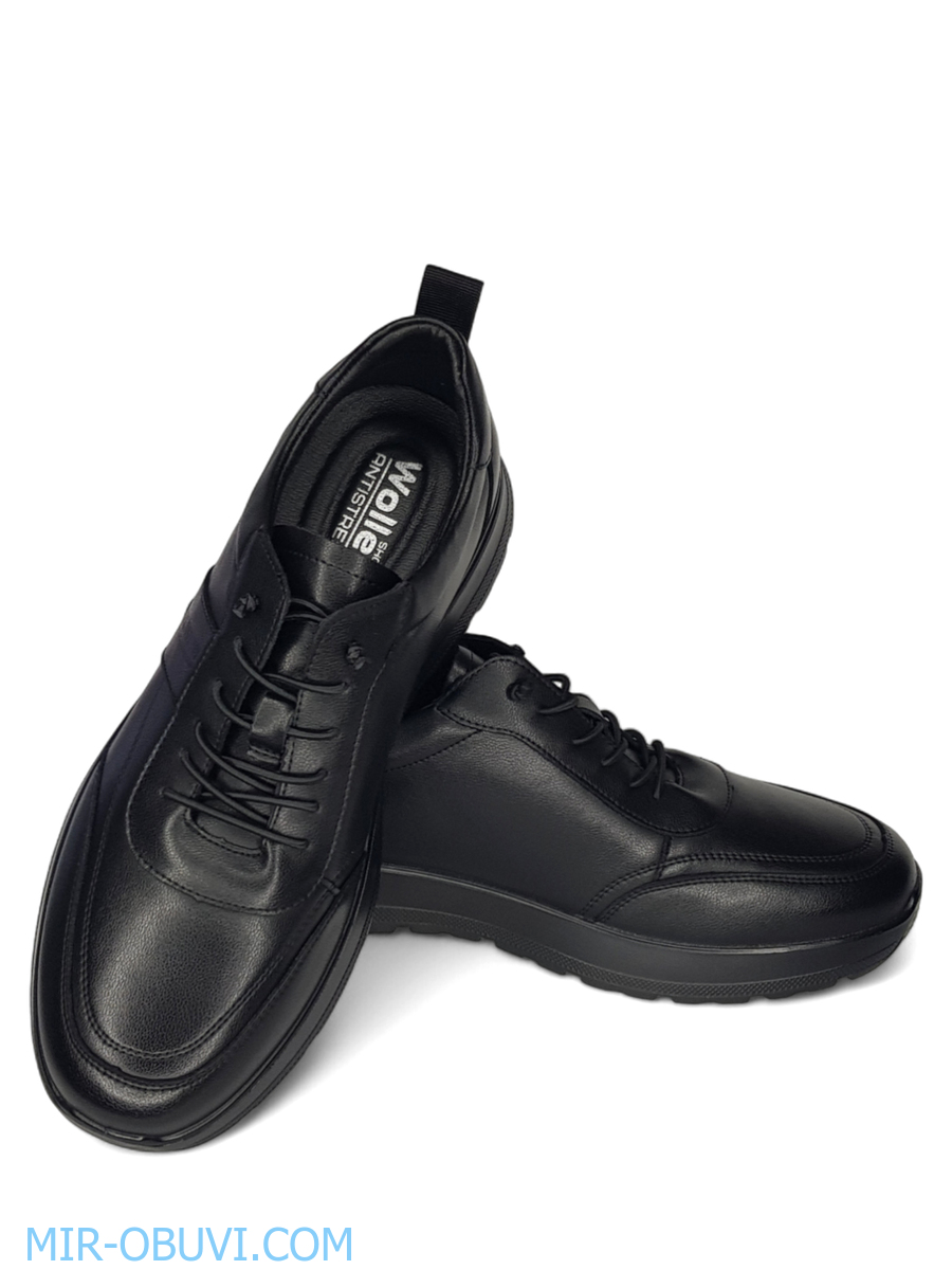 ������� ���������� ������� Wollen. ��� 13.