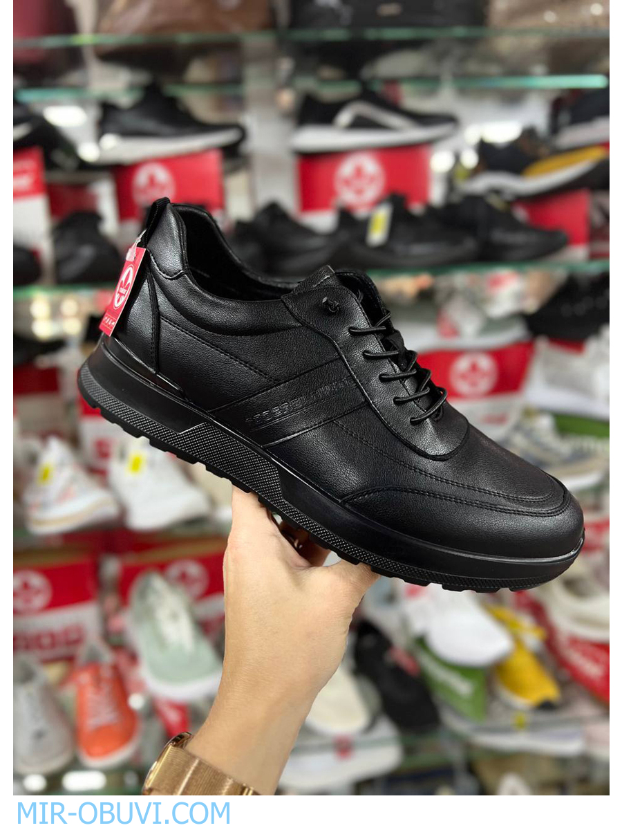 ������� ���������� ������� Wollen. ��� 20.