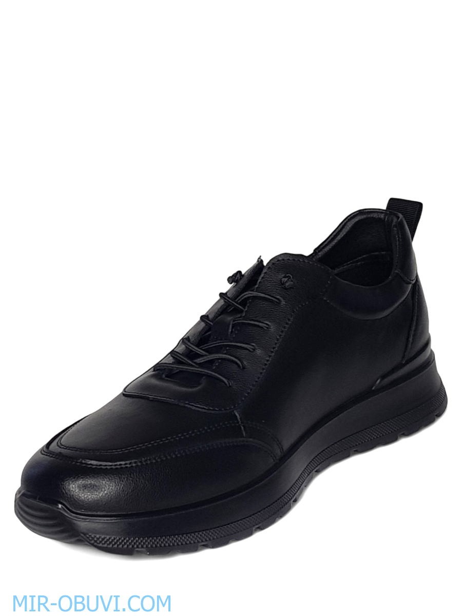 ������� ���������� ������� Wollen. ��� 3.