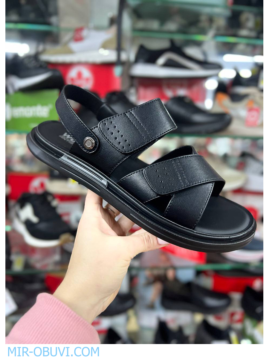 ������� ���� �����볿 Wollen. ��� 12.