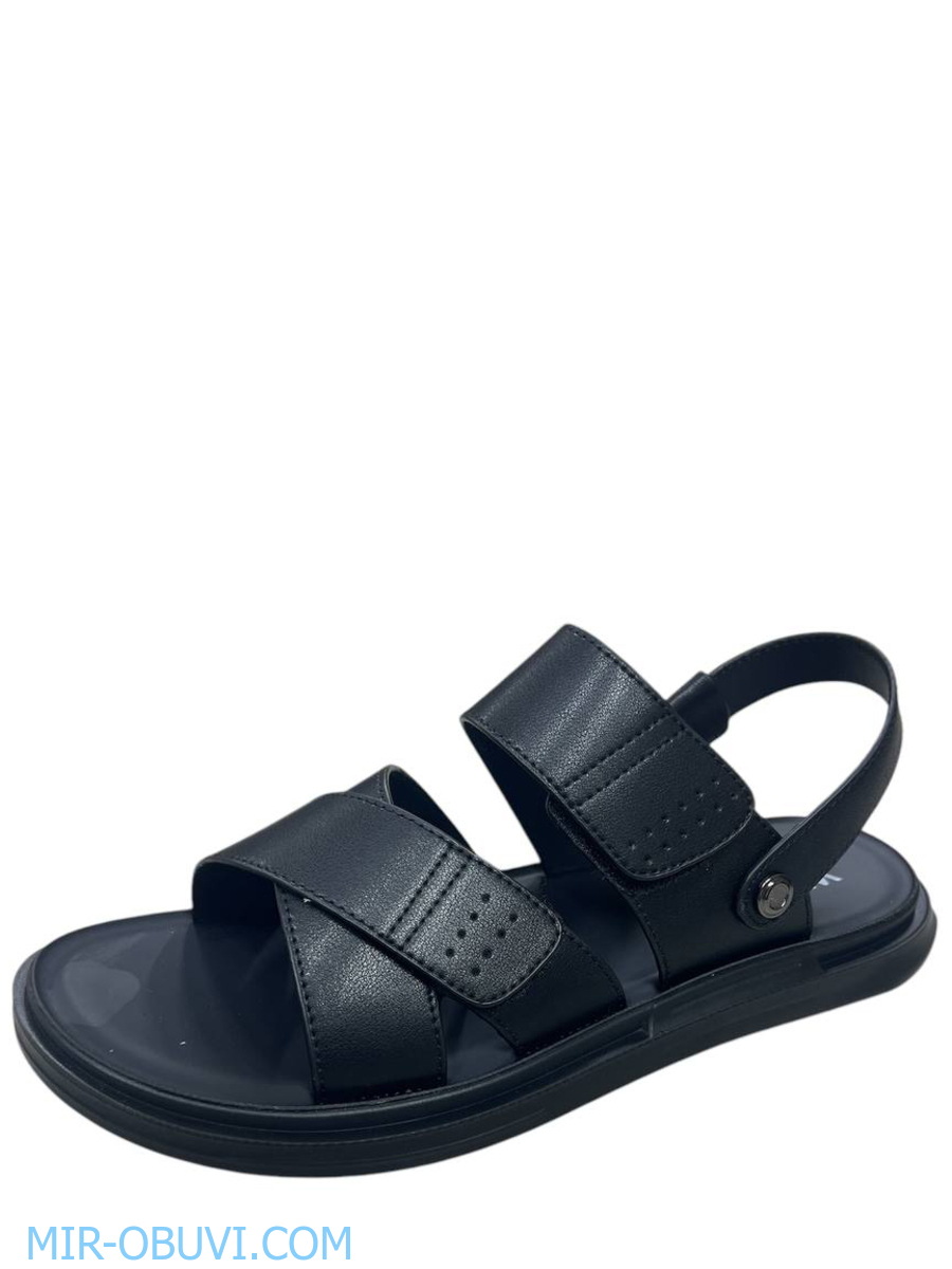 ������� ���� �����볿 Wollen. ��� 3.