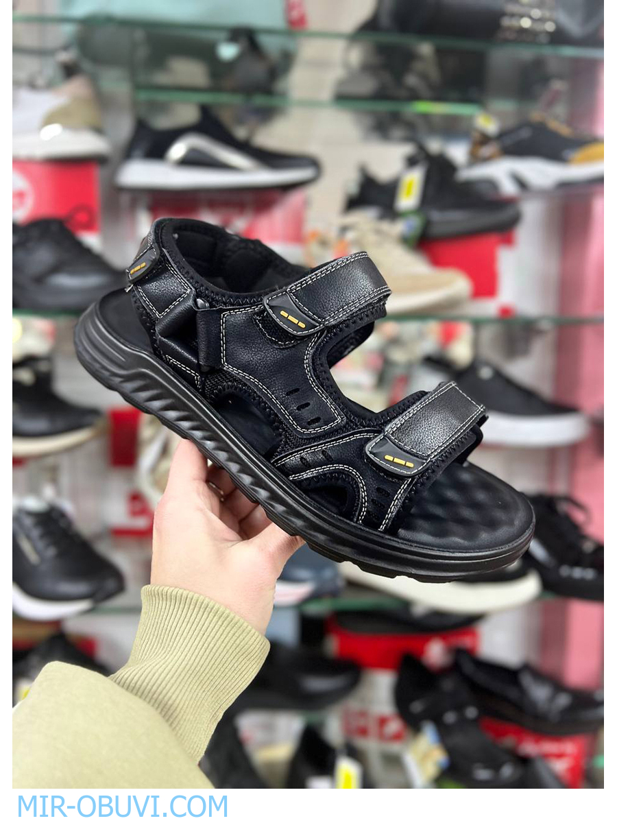 ������� ���� �����볿 Wollen. ��� 13.