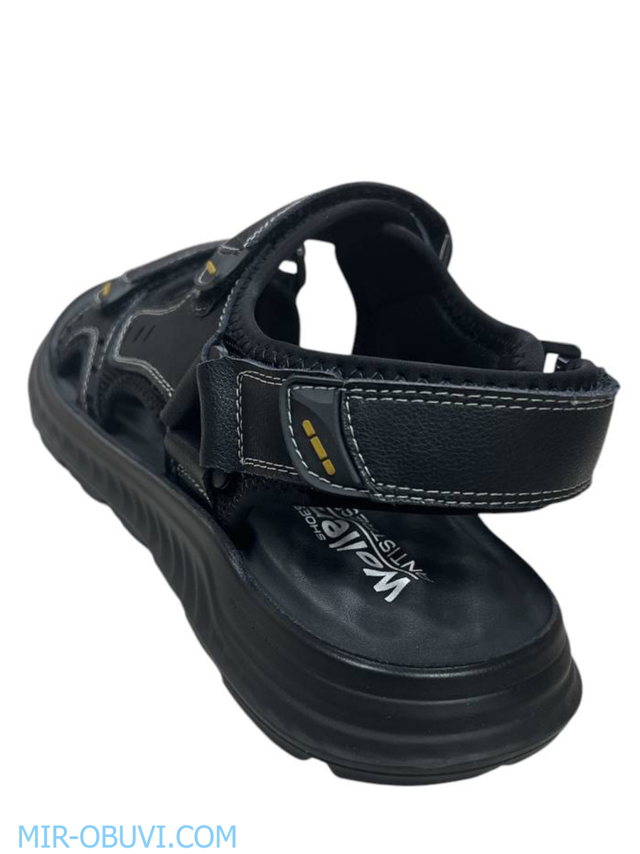 ������� ���� �����볿 Wollen. ��� 2.