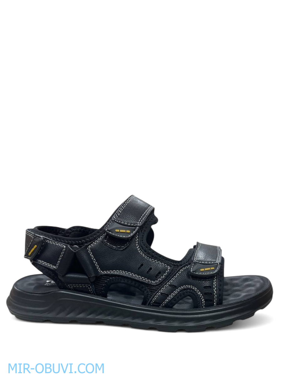 ������� ���� �����볿 Wollen. ��� 10.