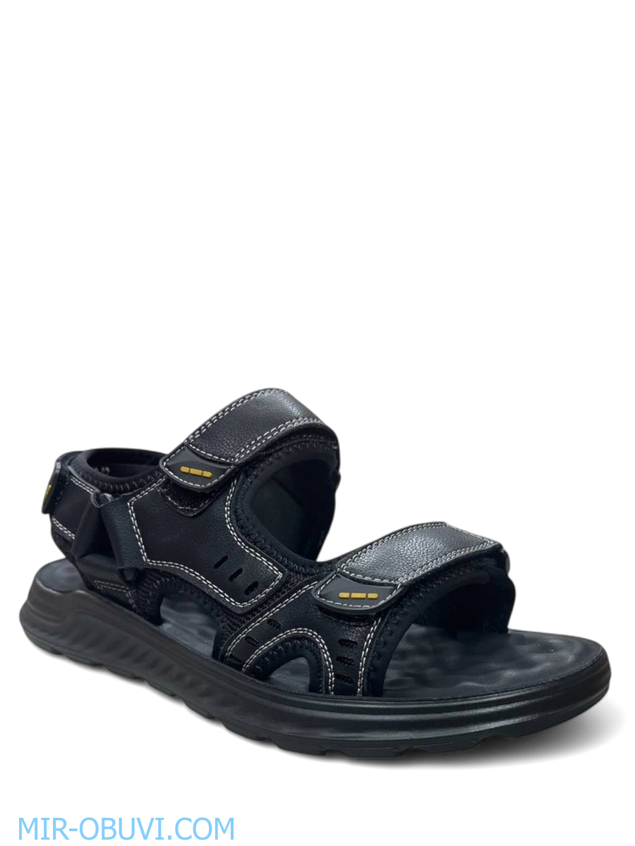 ������� ���� �����볿 Wollen. ��� 1.