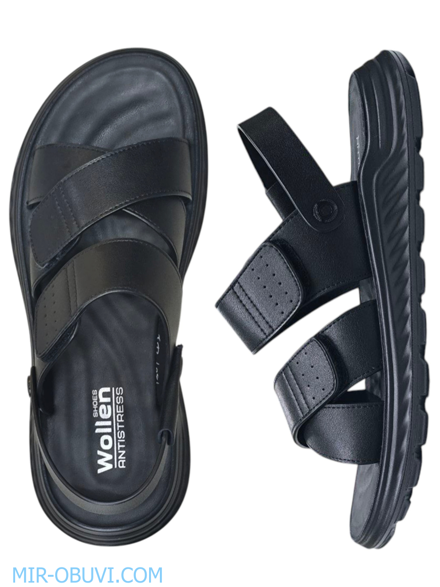 ������� ���� �����볿 Wollen. ��� 2.