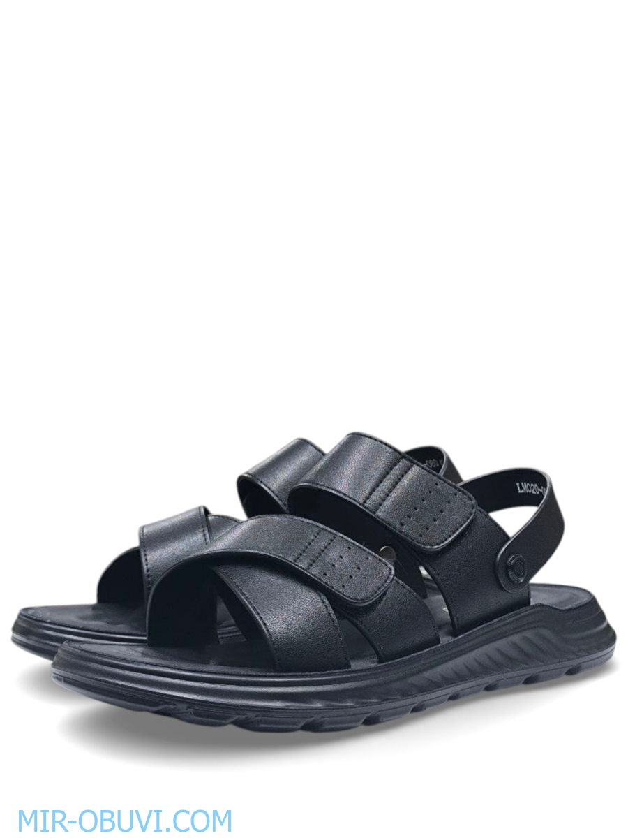 ������� ���� �����볿 Wollen. ��� 4.