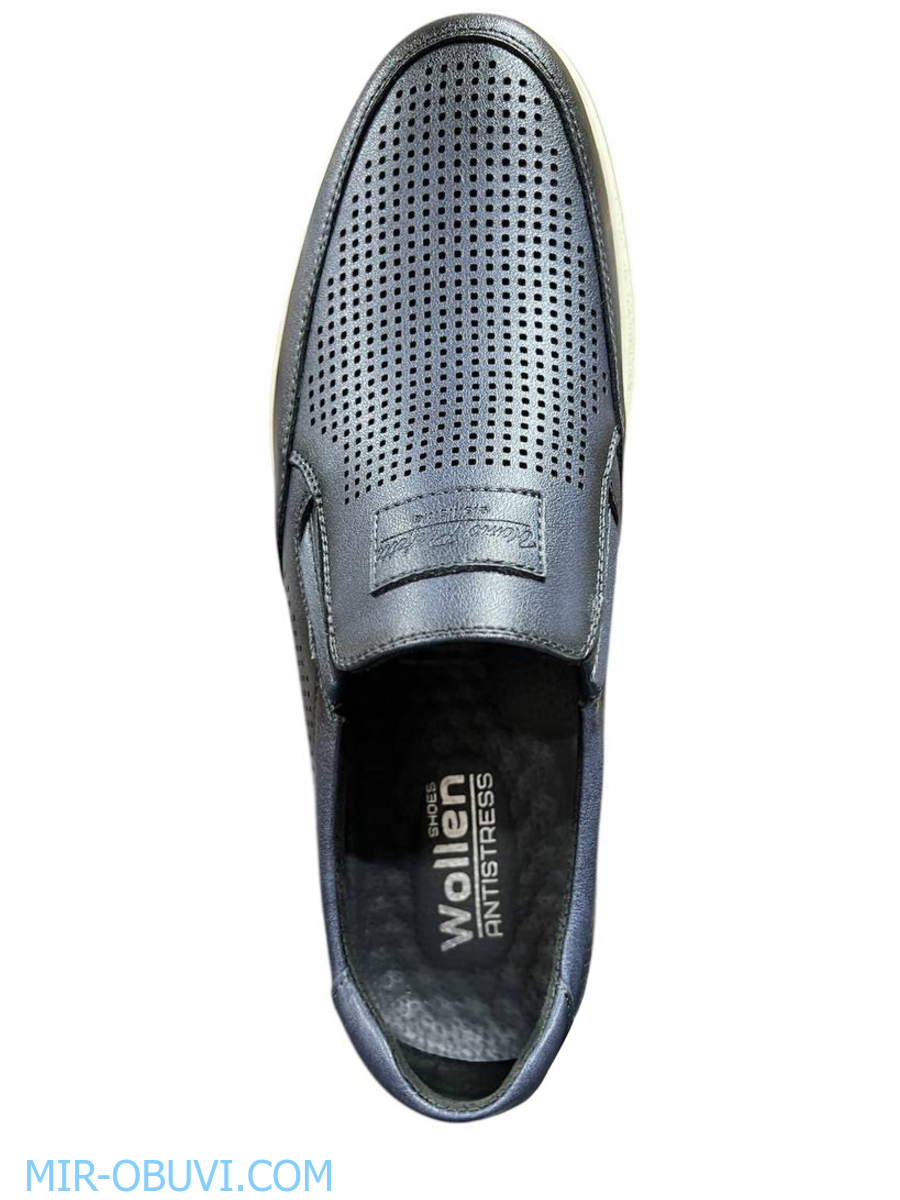 ������� ������� ������ Wollen. ��� 6.