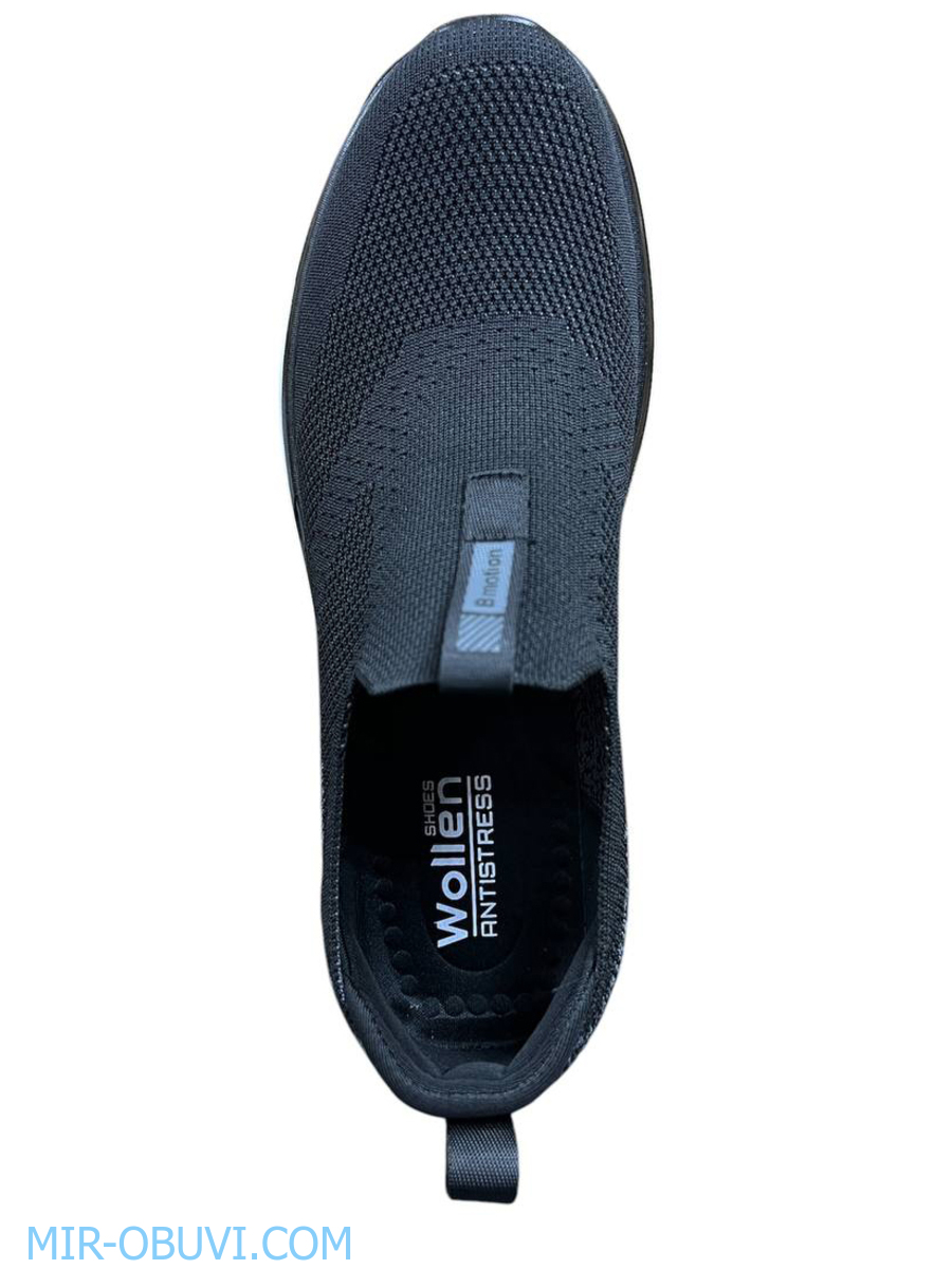 ������� ������� ������� Wollen. ��� 6.