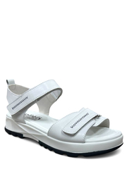  Wollen  060146