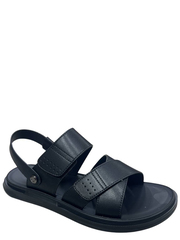 Wollen  66427