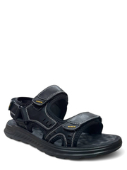  Wollen  66429